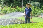 Điện Biên -Thúc đẩy du lịch và phát triển kinh tế từ nông nghiệp sạch  