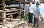 Trao sinh kế, đồng hành cùng hộ nghèo thoát nghèo
