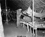 Bệnh sốt rét - Nỗi ám ảnh của quân đội Mỹ thời Thế chiến II