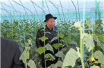 Chống khủng hoảng lương thực, Triều Tiên điều binh sĩ trợ giúp nhà nông