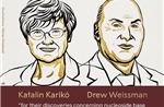 Giải Nobel Y sinh 2023 vinh danh hai nhà khoa học Katalin Karikó và Drew Weissman