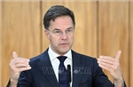 Thủ tướng Hà Lan Mark Rutte làm Tổng Thư ký mới của NATO