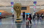 11 mô hình toán học dự đoán 4 ứng viên vô địch World Cup