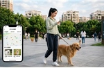 Tranh cãi về dịch vụ cho thuê thú cưng theo giờ tại Trung Quốc