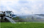 Nắng nóng hiếm gặp bao trùm châu Á, khoai tây 'chín nhừ' trong đất