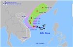 Tập trung ứng phó với bão số 1, bảo đảm an toàn các công trình xây dựng