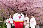 Cùng Vietjet hòa mình vào sắc màu văn hóa Việt Nam tại Nagoya