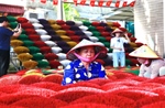 Quảng Phú Cầu - Sắc hương giữa lòng làng Việt 