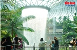 Chiêm ngưỡng thác nước nhân tạo lớn nhất thế giới giữa sân bay Singapore