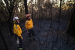 Australia: Bang New South Wales &#39;gồng mình&#39; ứng phó 70 vụ cháy rừng xảy ra trong ngày