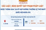 Các luật, nghị quyết quy phạm pháp luật được thông qua tại Kỳ họp không thường lệ thứ Nhất, Quốc hội khóa XVI