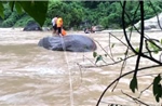 Cứu sống 3 người dân mắc kẹt giữa dòng nước lũ