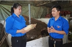 Lan tỏa phong trào thanh niên khởi nghiệp ở đất sen hồng