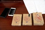 Lai Châu: Liên tiếp phá chuyên án về ma túy, thu giữ hơn 7 bánh heroin
