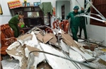 Mưa lớn kèm gió giật gây thiệt hại tại Cát Tiên, Lâm Đồng