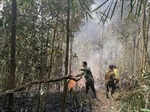 Đám cháy rừng ở huyện Văn Bàn (Lào Cai) đã cơ bản được khống chế