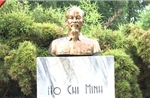 Tình hữu nghị Việt Nam - Cuba dưới bóng mát Bác Hồ