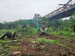 Hà Nội: Giải tỏa vi phạm đất bãi bồi ven sông để trồng hoa