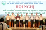 Cần Thơ: Nhân rộng sản xuất lúa chất lượng cao