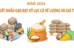 Năm 2024: Xuất khẩu gạo đạt kỷ lục cả về lượng và giá trị