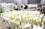 Điều tra một doanh nghiệp nghi sản xuất phân bón giả
