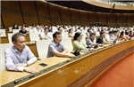 Thống nhất rút ngắn thời gian thực hiện quy trình bầu cử