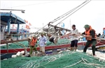 Ninh Bình: Tạm dừng hoạt động các tuyến đò, không cho tàu, thuyền ra khơi từ 21/7