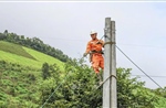 Ứng phó bão số 5: Điện lực miền Bắc kích hoạt phương án &#39;4 tại chỗ&#39; 