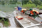 Ứng phó bão số 6: Quảng Trị tuyệt đối không chủ quan, lơ là trước diễn biến mưa, bão