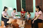 Bệ đỡ từ dòng vốn tín dụng chính sách