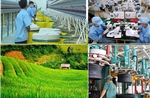 Phê duyệt Chương trình phát triển ngành công nghiệp môi trường Việt Nam giai đoạn 2025-2030