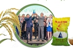 Hành trình 20 năm hình thành hạt gạo ngon nhất thế giới - ST25