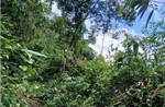 Một người đi bẫy chim tử vong nghi do bị điện giật