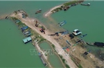Mở dư địa phát triển kinh tế xanh từ 'lá phổi' vùng Đông Nam Bộ