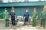 Thu giữ 800 kg nầm lợn đông lạnh không có hóa đơn