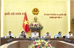 Rà soát quy định về trách nhiệm của các bộ, ngành trong phòng, chống rửa tiền
