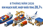 8 tháng năm 2026: Kim ngạch xuất, nhập khẩu tăng 28,7% 