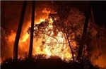 Nhóm cứu hỏa quốc tế hỗ trợ Cyprus dập tắt cháy rừng