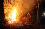 Điện Biên: Một người tử vong khi chữa cháy rừng tại huyện Mường Chà