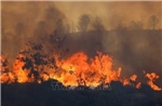 Thổ Nhĩ Kỳ: Cháy rừng ảnh hưởng đến các di tích cổ đại