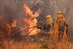 Cháy rừng tại Tây Ban Nha, trên 1.000 người phải sơ tán