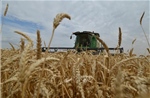 EU sẽ đánh thuế đối với ngũ cốc nhập khẩu từ Nga, Belarus