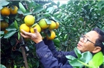 Những loại thực phẩm giúp cải thiện tâm trạng