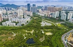 Đô thị ở châu Á học cách &#39;sống cùng nước&#39; trong cuộc đua thích ứng với biến đổi khí hậu