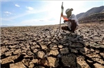 Nỗi lo siêu El Nino bao trùm châu Á, đe dọa lương thực và kinh tế khu vực