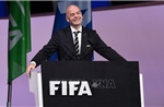 Nghị sĩ EU kêu gọi điều tra Chủ tịch FIFA sau vụ thẻ đỏ của cầu thủ Mỹ