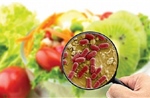 Đắk Lắk: Xác định nguyên nhân ngộ độc thực phẩm tại Trường Hoàng Việt