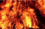 Nhật Bản: Hơn 400 người sơ tán do cháy rừng