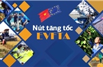 5 năm thực thi EVFTA: Hợp tác thương mại giữa Việt Nam và EU tăng trưởng vượt bậc