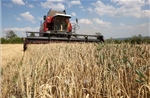 EU bất ngờ chuẩn bị áp thuế cao hơn đối với hàng nhập khẩu từ Ukraine